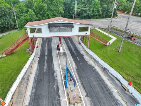 8335 HIGHWAY 191 MAPLESVILLE AL 36750