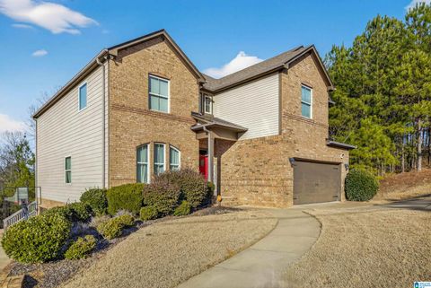 820 BROOKHAVEN DRIVE ODENVILLE AL 35120