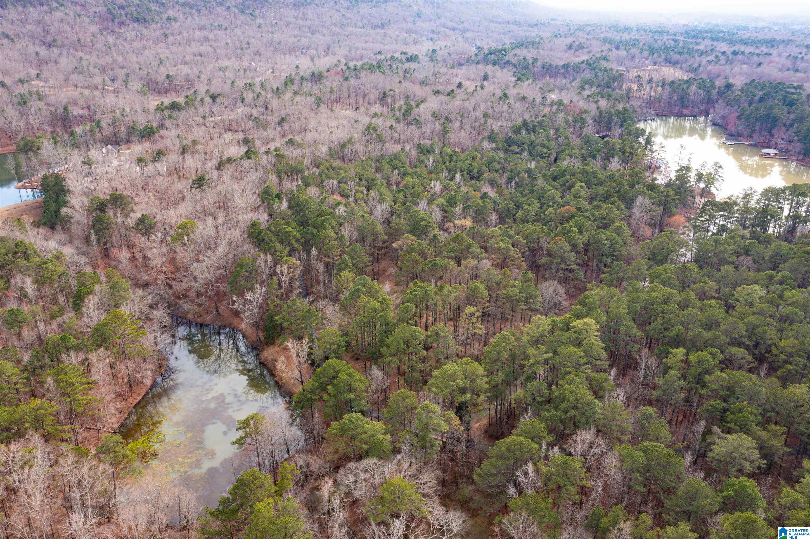Photo 1 of 10 — 958 SMYER LAKE ROAD 0, LEEDS, AL 35094