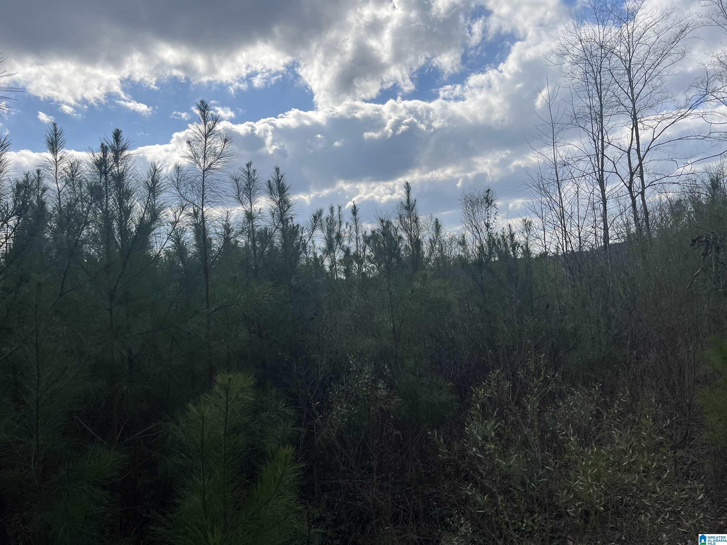 0 OLD WOODSTOCK ROAD 0