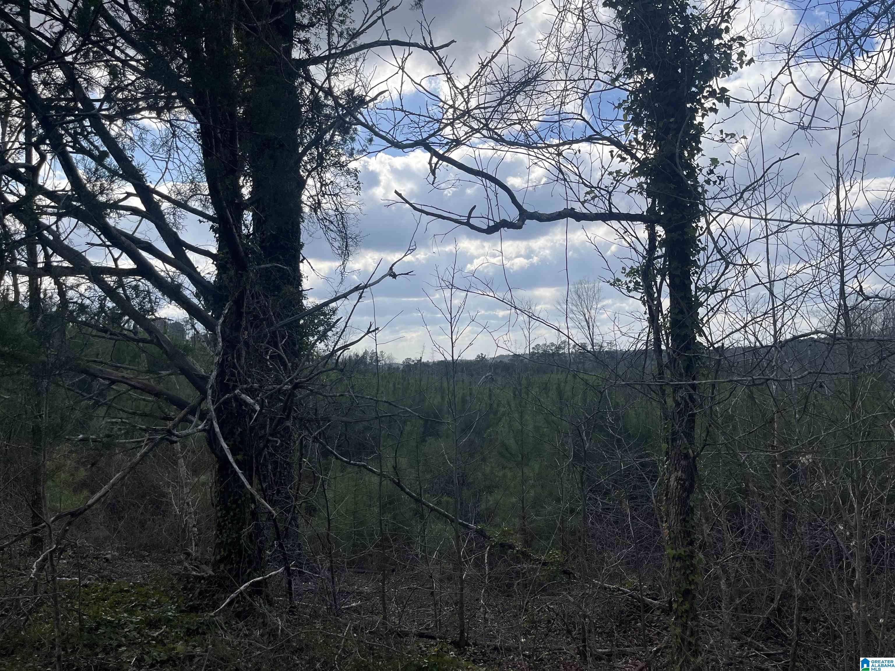 0 OLD WOODSTOCK ROAD 0