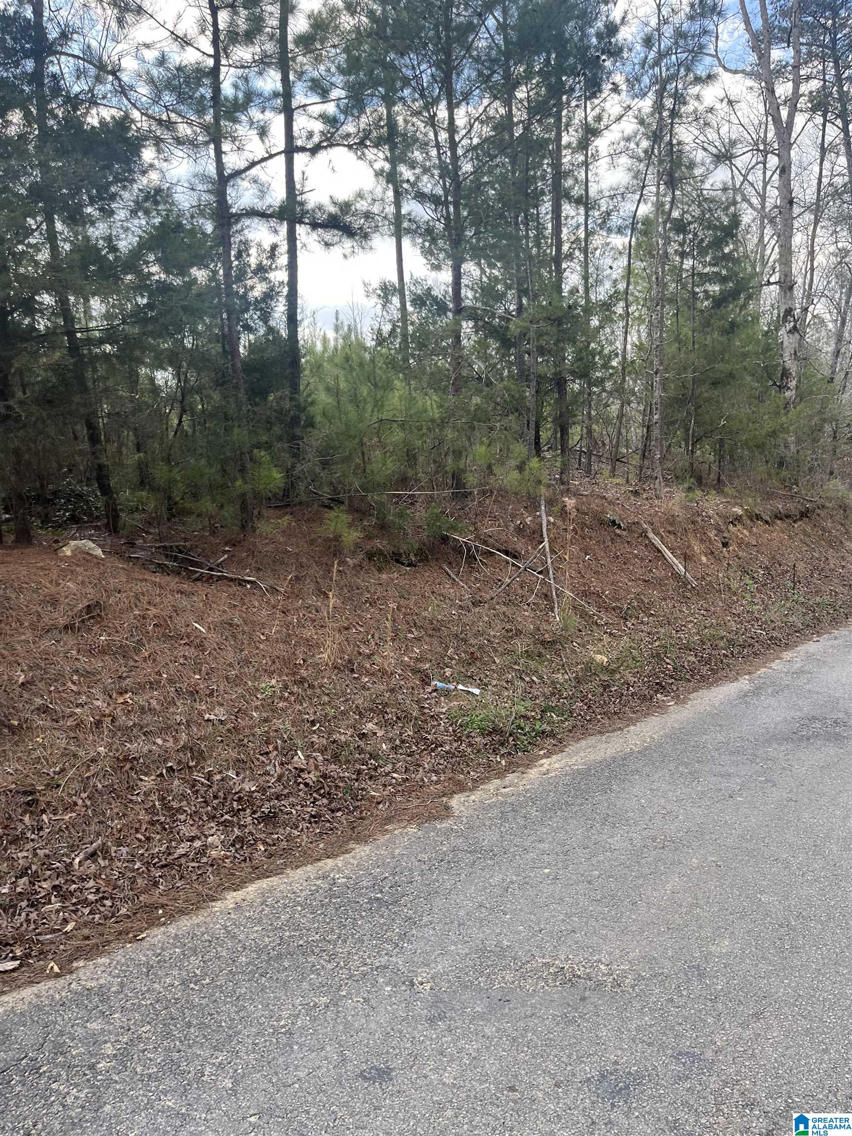 0 OLD WOODSTOCK ROAD 0