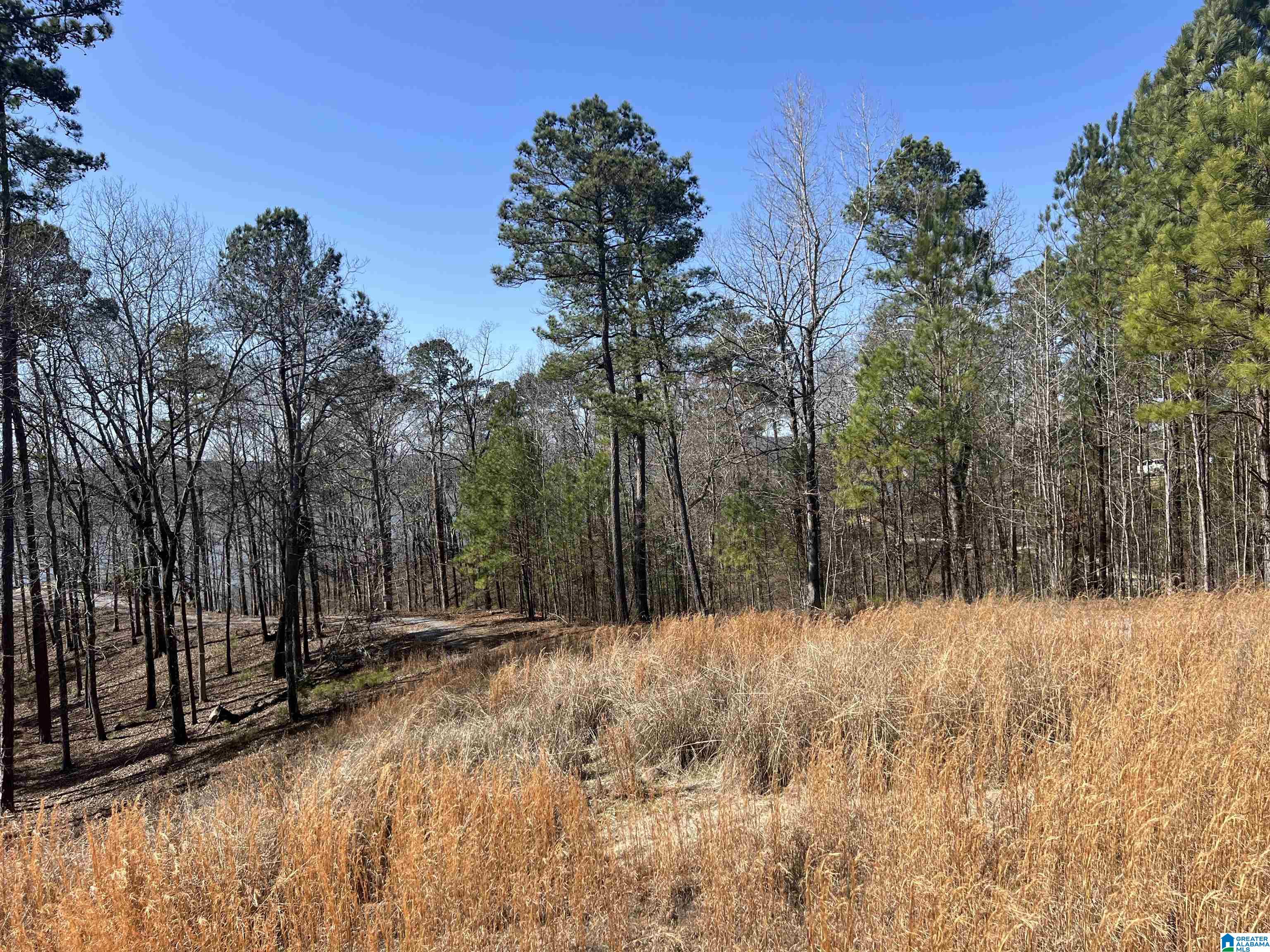Photo 1 of 6 — SHORESIDE LANE 133, SYLACAUGA, AL 35151