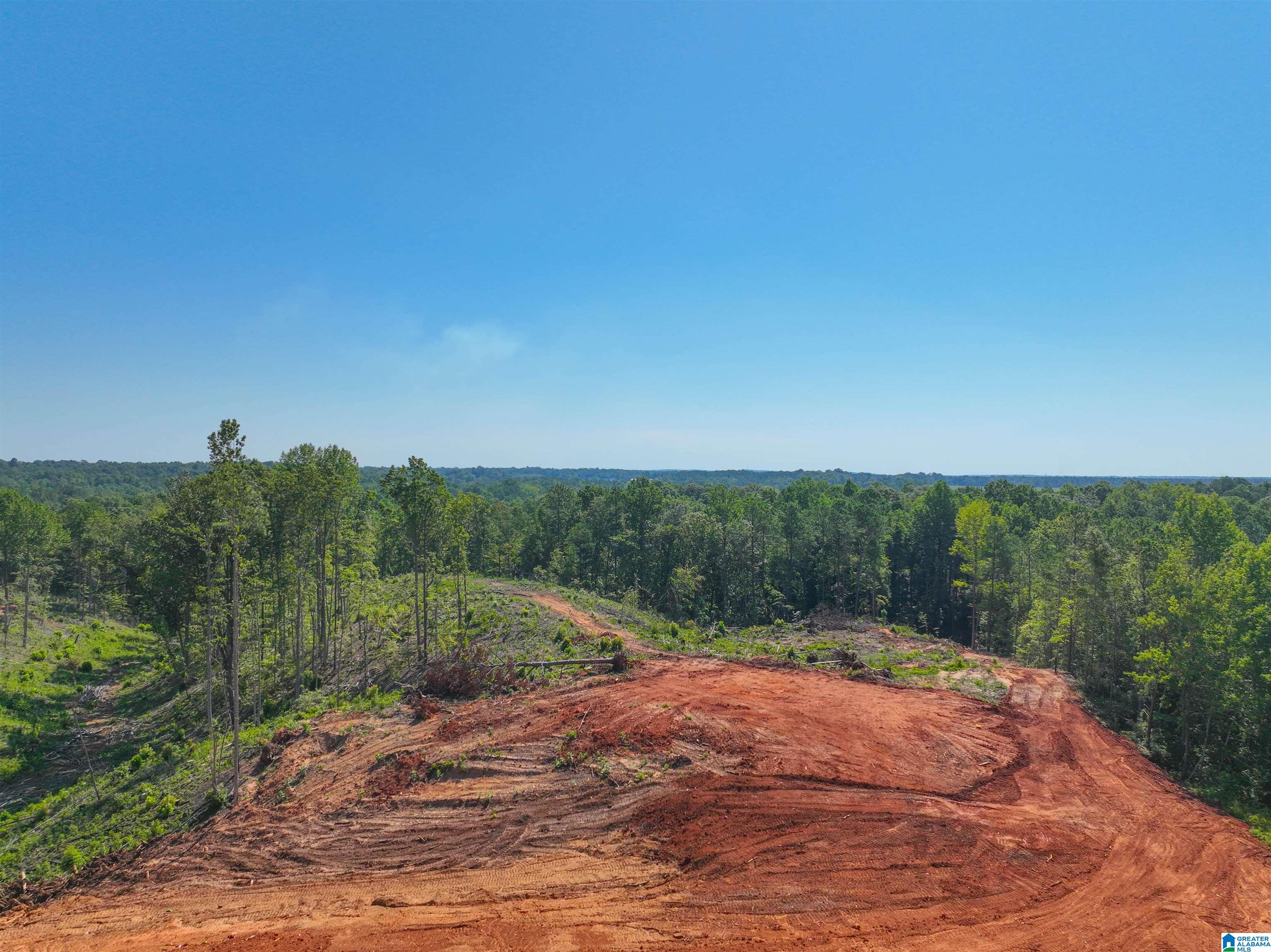 1183 COUNTY ROAD 295 1