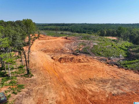 1183 COUNTY ROAD 295 1 JEMISON AL 35085