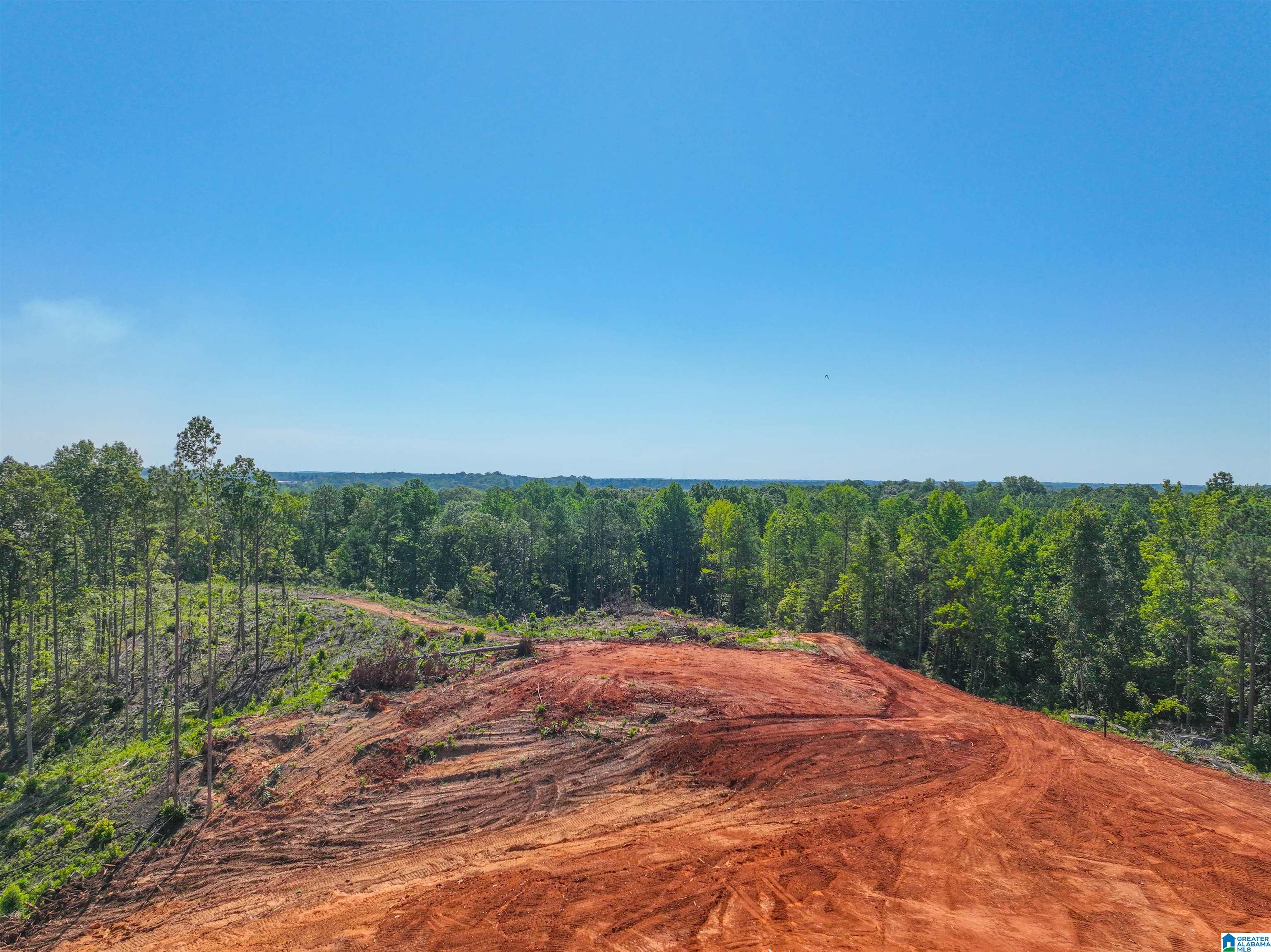 1183 COUNTY ROAD 295 1