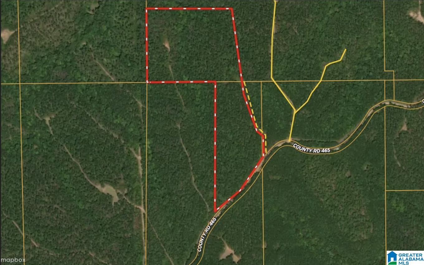 Photo 1 of 1 — 0 COUNTY ROAD 465 0, CLANTON, AL 35046