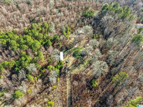 1500 SHOAL CREEK ROAD 0 ASHVILLE AL 35131
