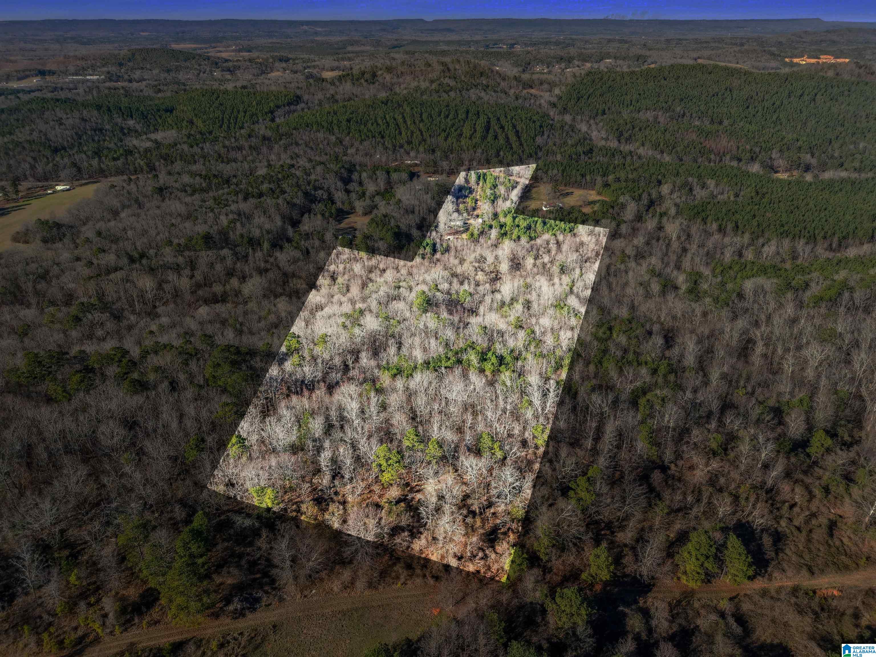 1500 SHOAL CREEK ROAD 0