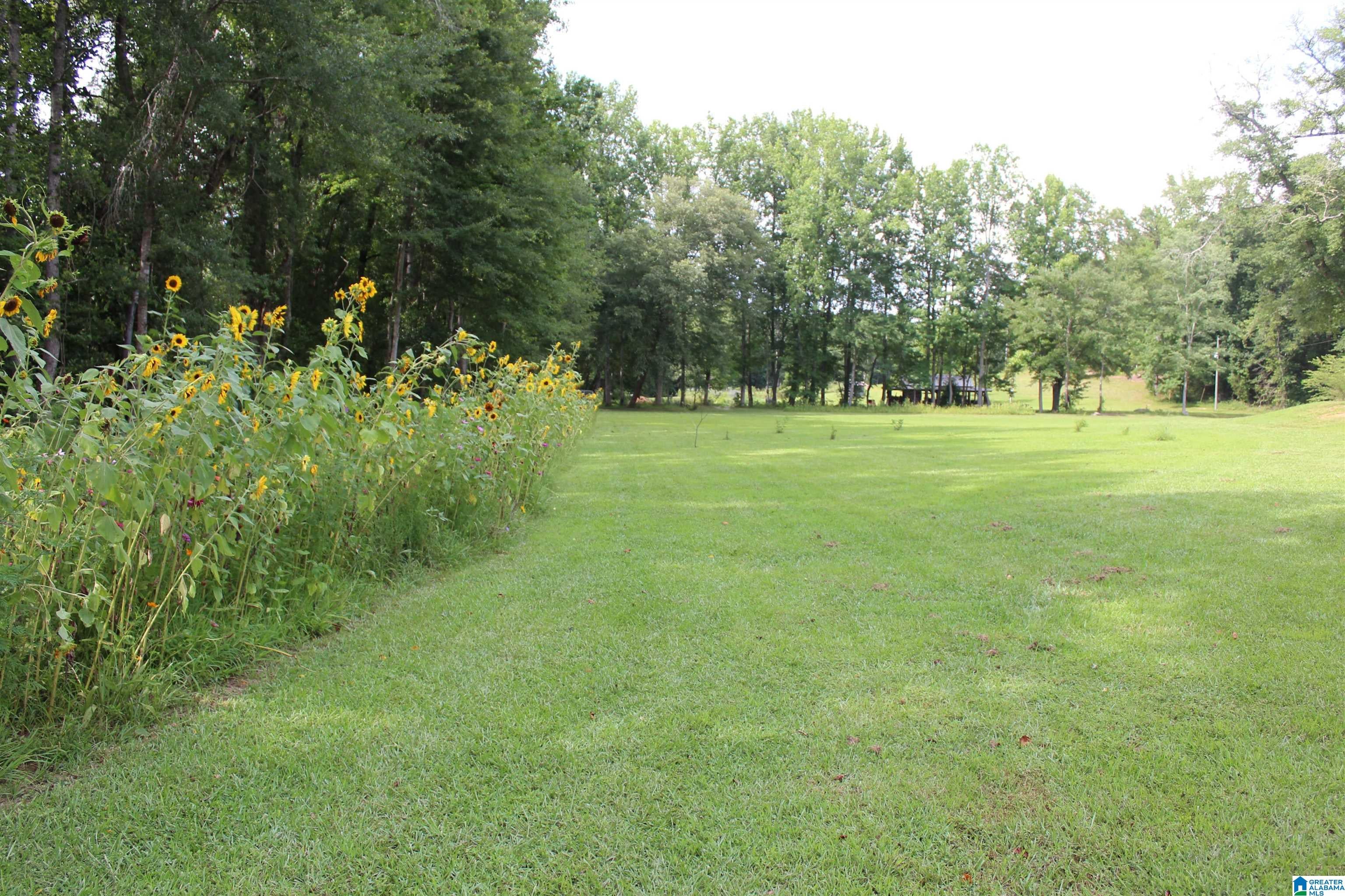 1494 COUNTY ROAD 49
