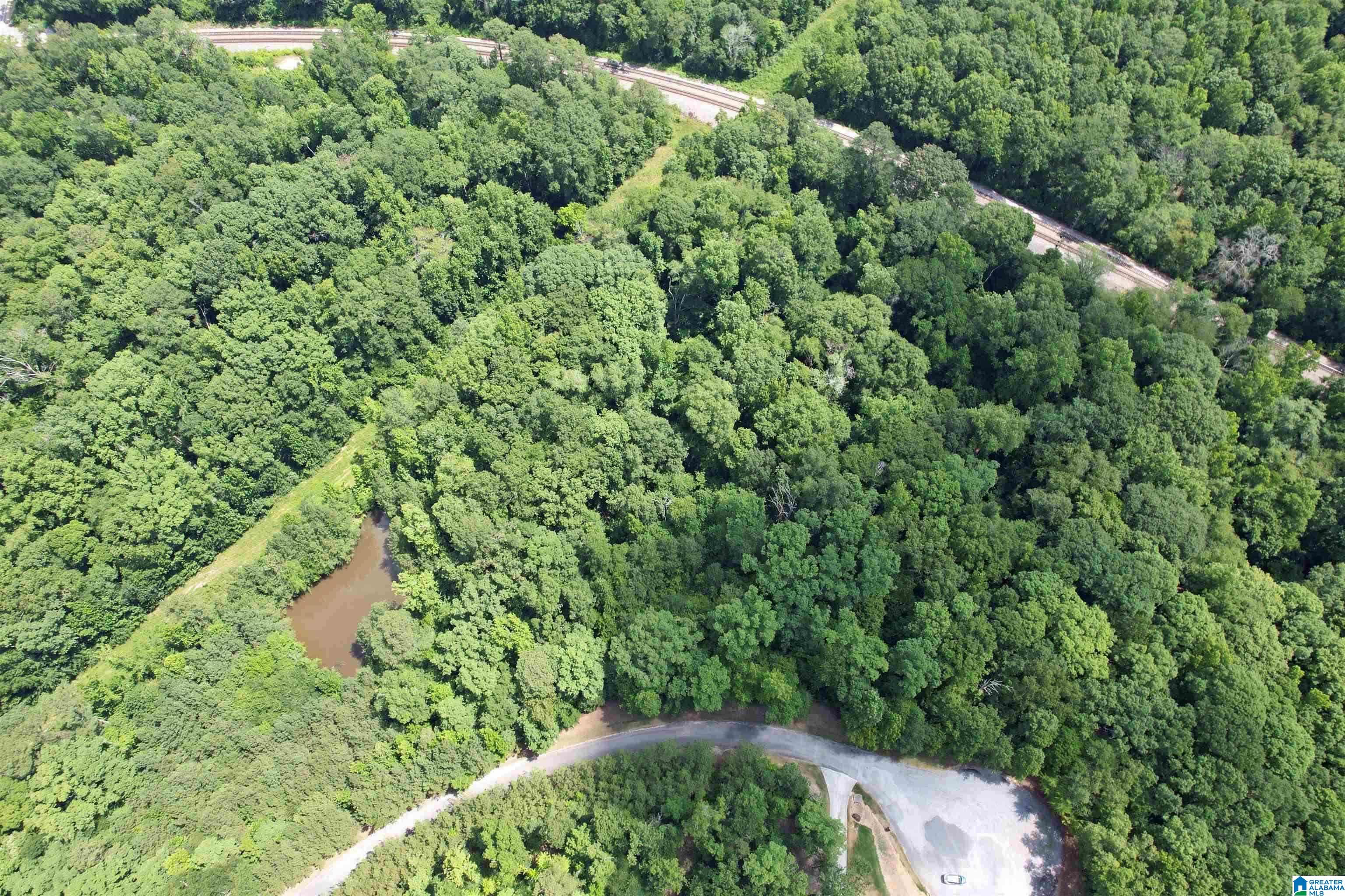 Photo 1 of 12 — 0 WEATHERTON TRAIL 3, HARPERSVILLE, AL 35078