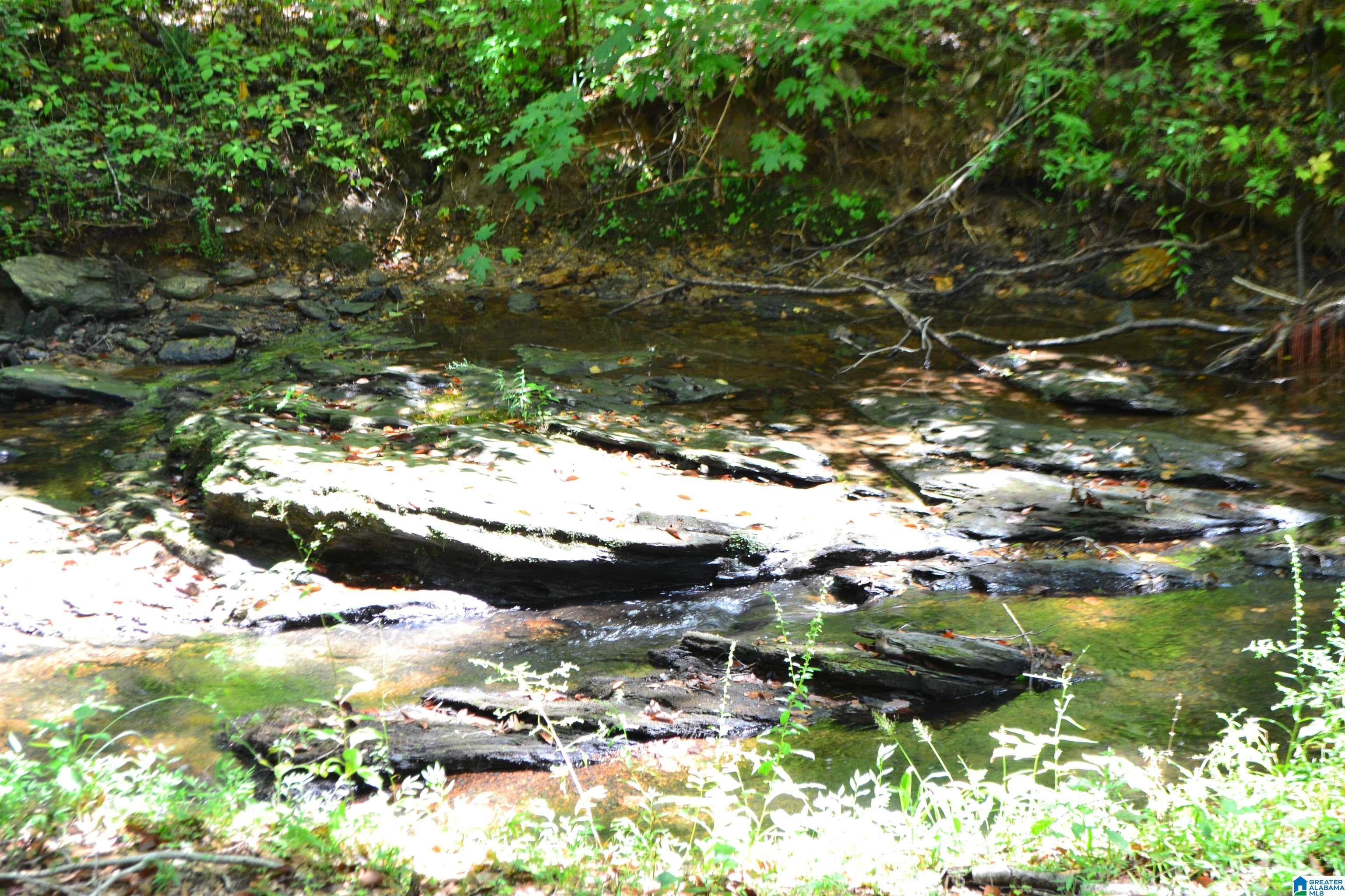 1002 CHEAHA ROAD