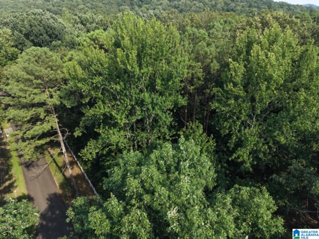 5389 OLD SHADOW LAKE ROAD 0