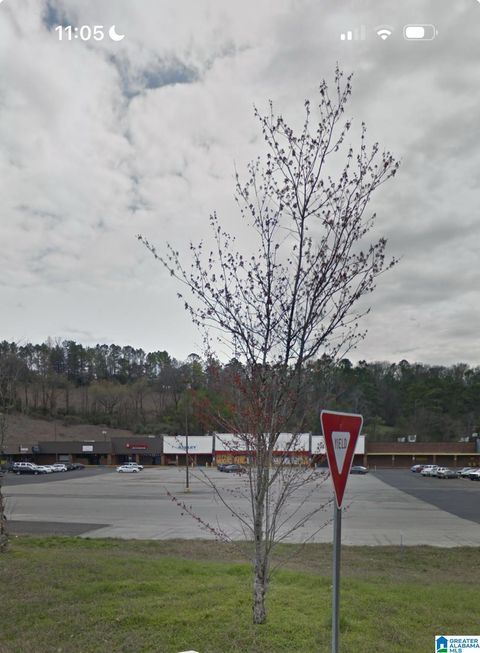 1615 ASHVILLE ROAD LEEDS AL 35094