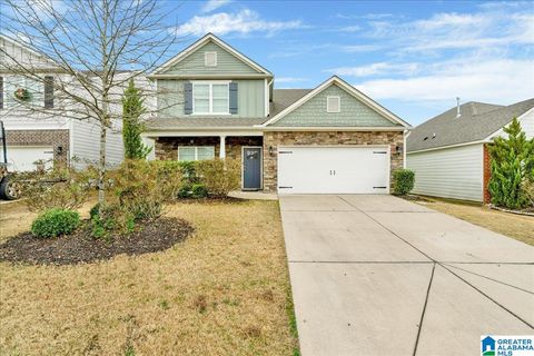 1051 PARK VIEW DRIVE CHELSEA AL 35043