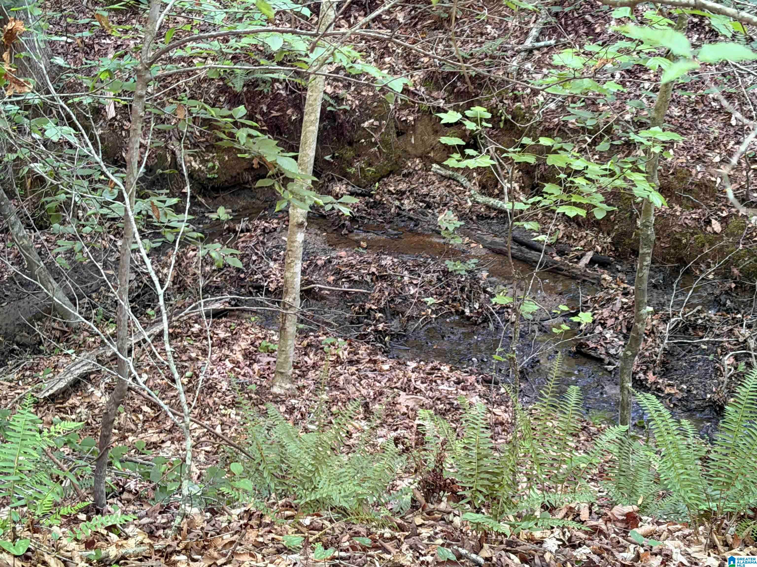 0 COUNTY ROAD 87 4