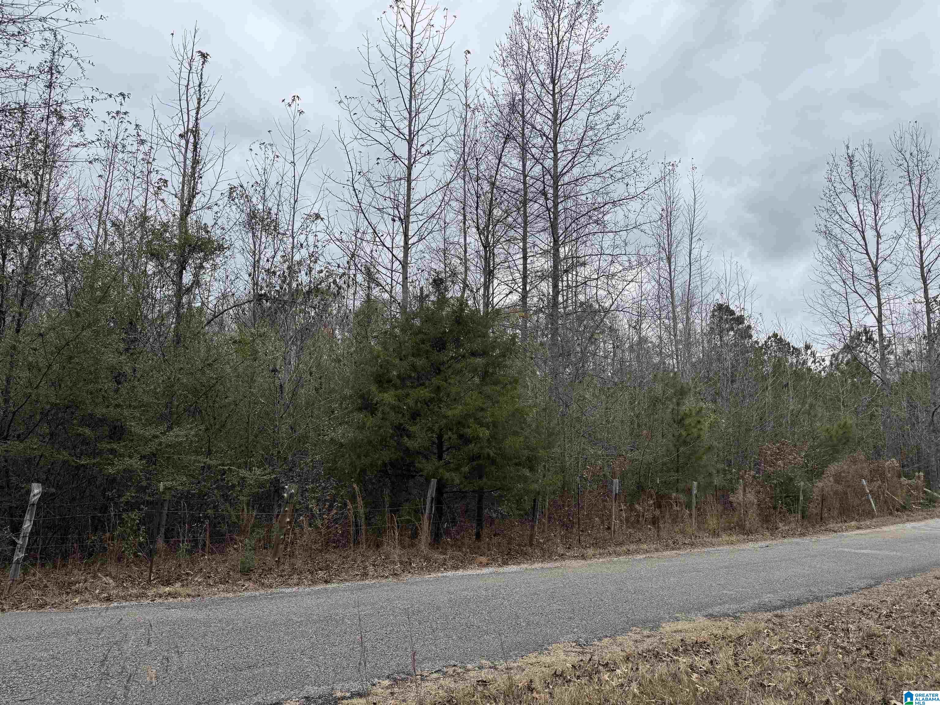 1830 PINE TREE ROAD 0