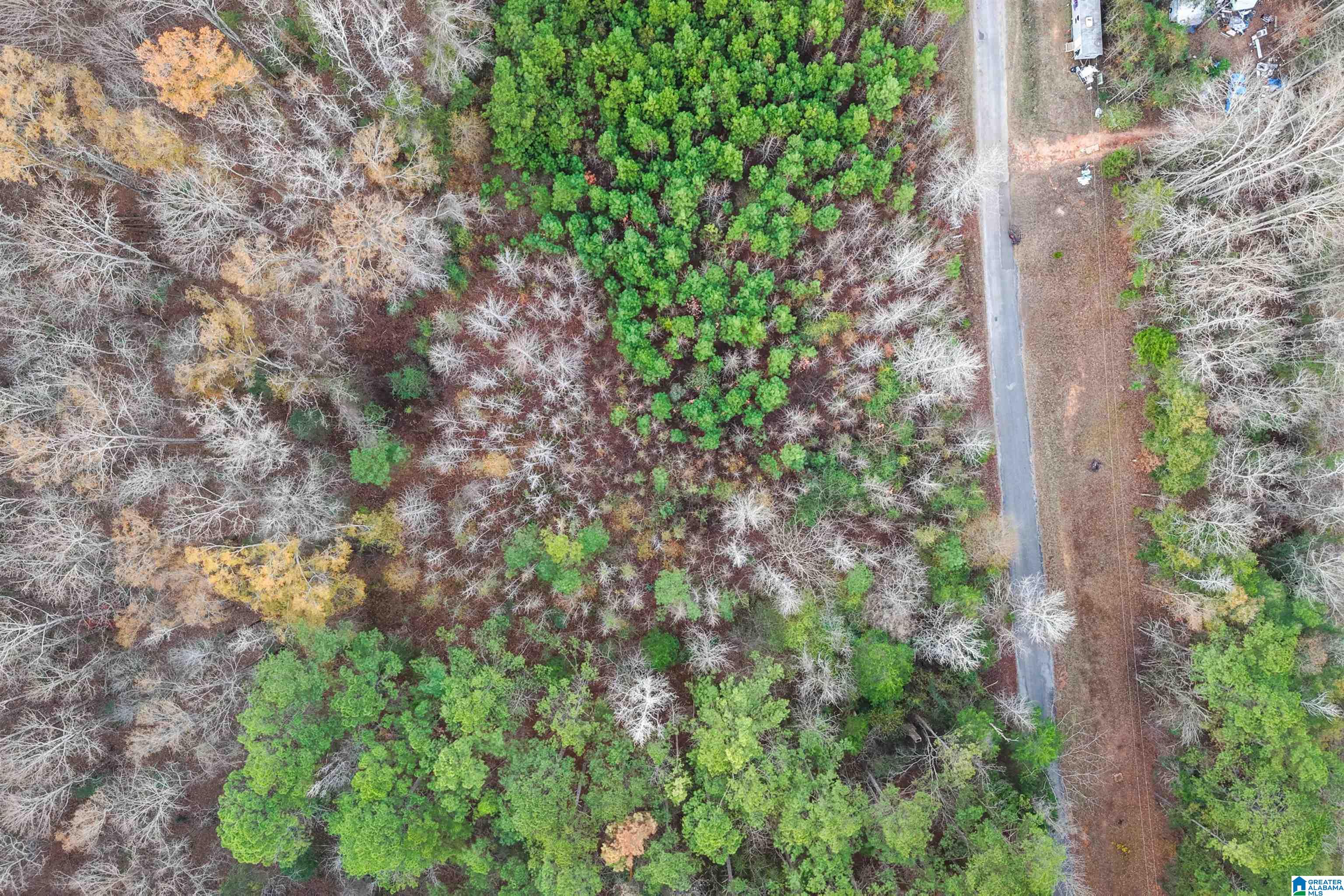 1830 PINE TREE ROAD 0