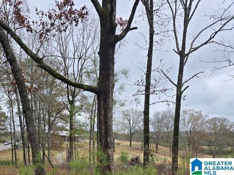 0 CAPRICORN DRIVE 0 ALPINE AL 35014