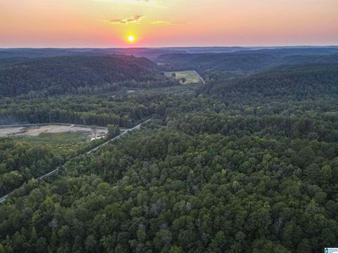 1 HIGHWAY 18 1 OAKMAN AL 35579