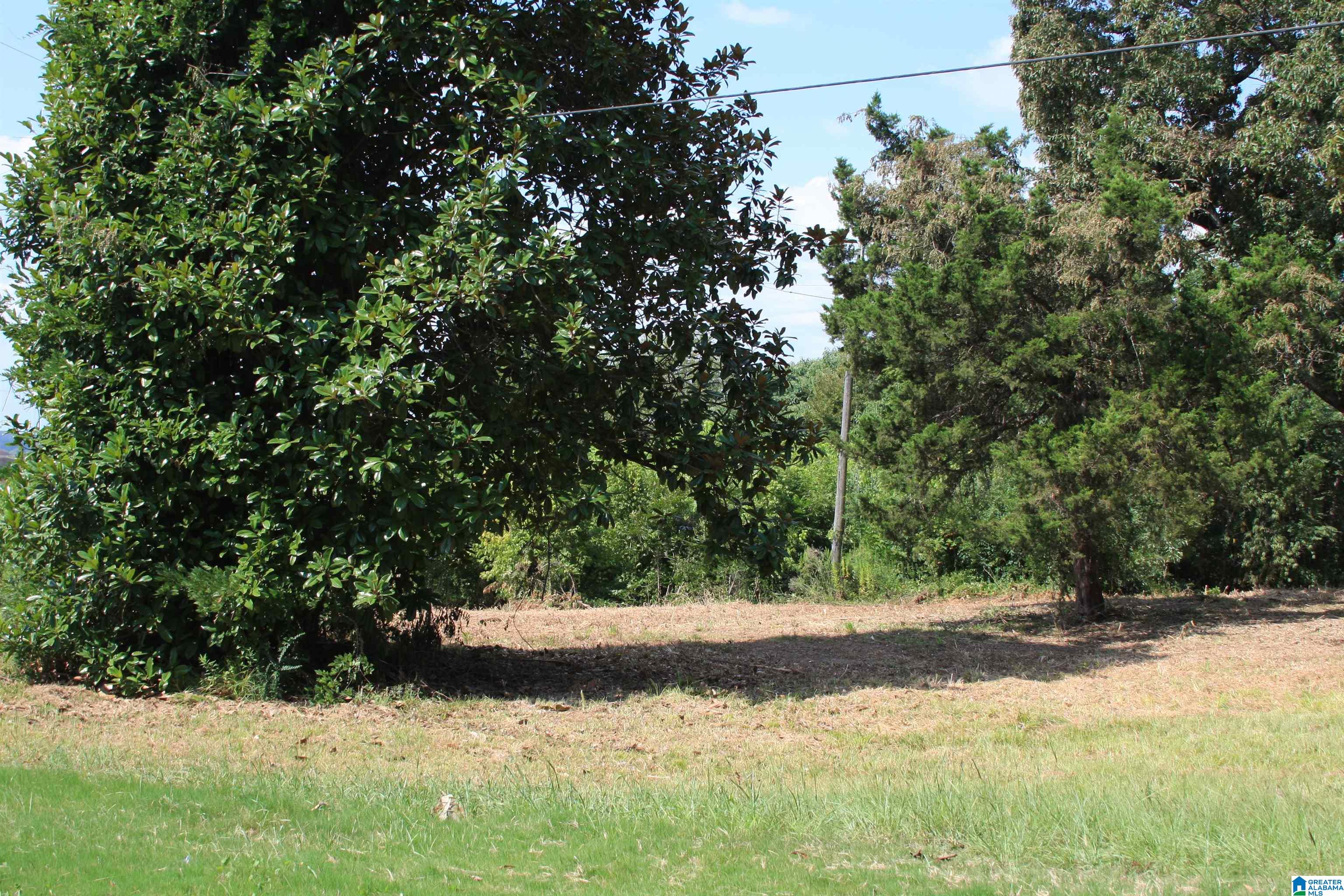 5714 SMOKEY ROAD 0 - Photo 2