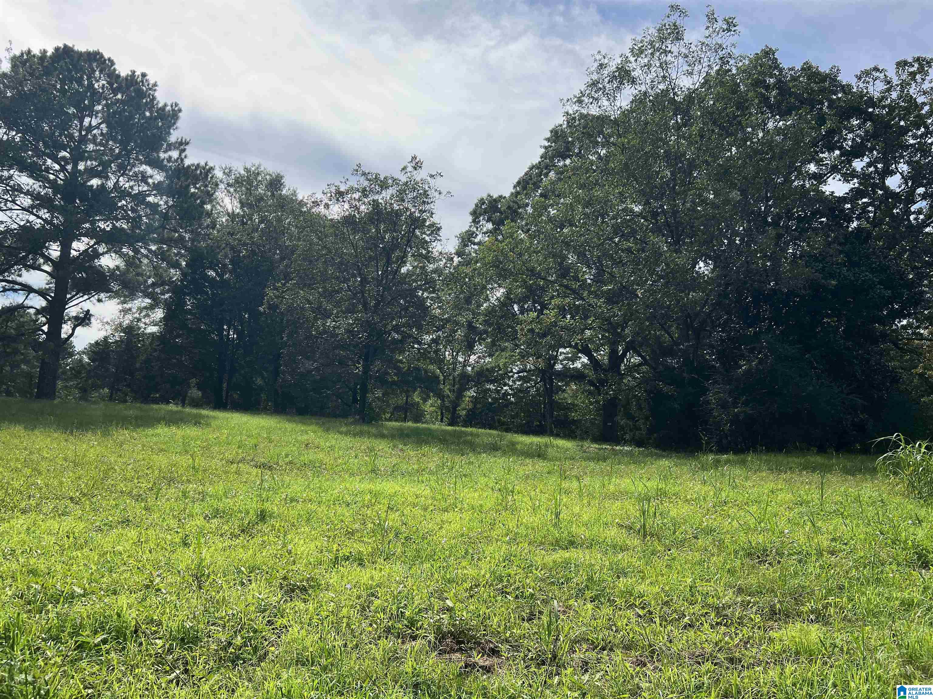 45 STAMPS LANE 3A