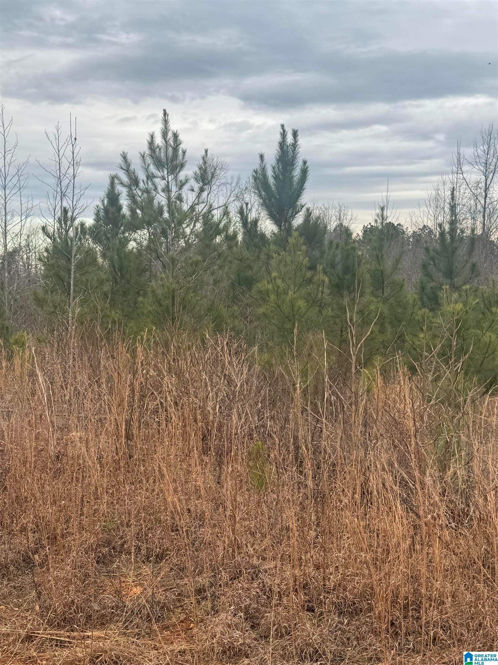 1661 COUNTY ROAD 637 8 Ac