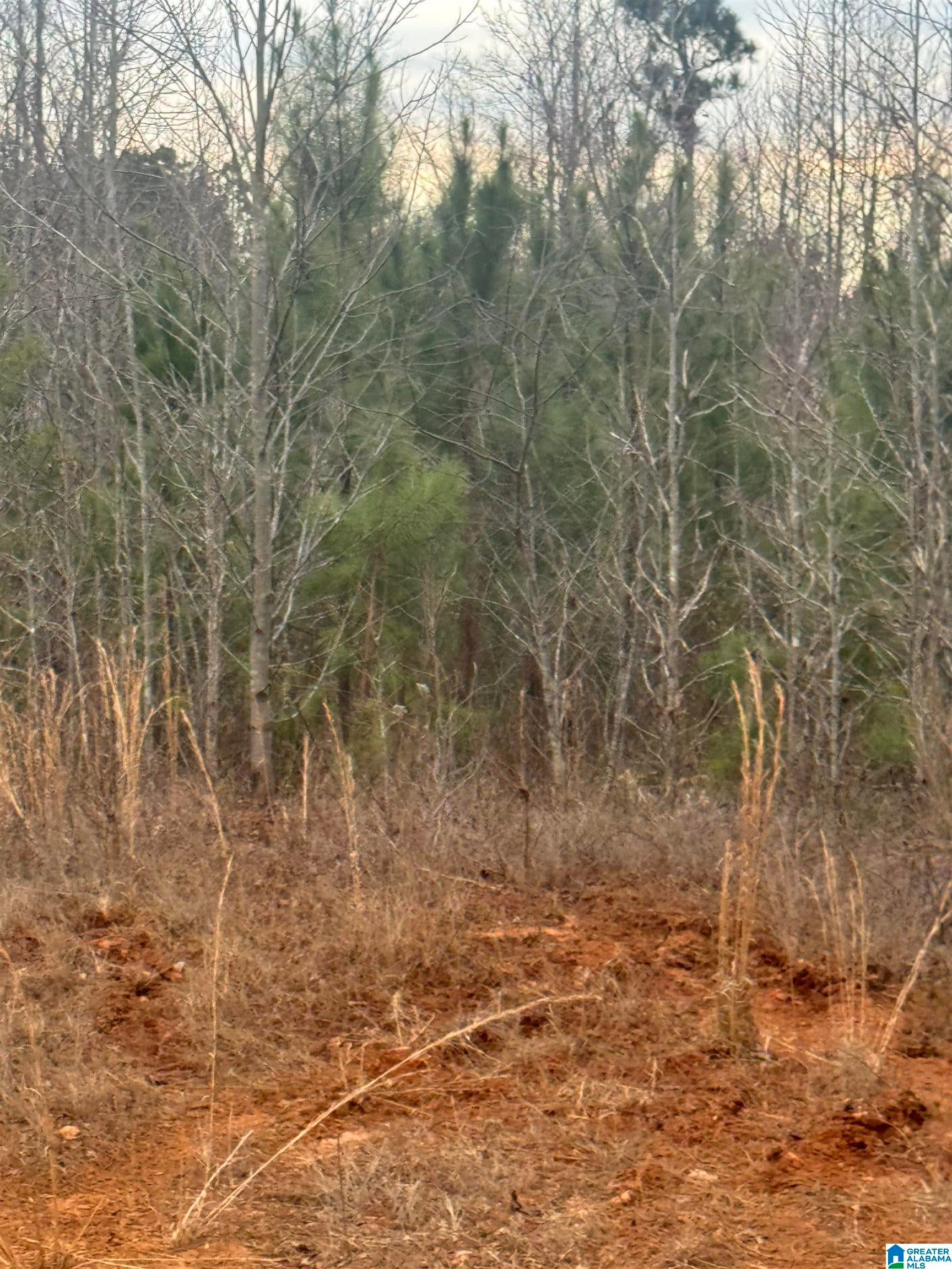 1661 COUNTY ROAD 637 8 Ac