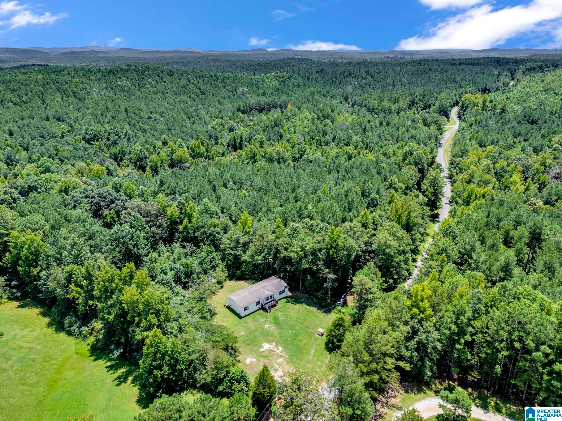 6393 BULL GAP ROAD