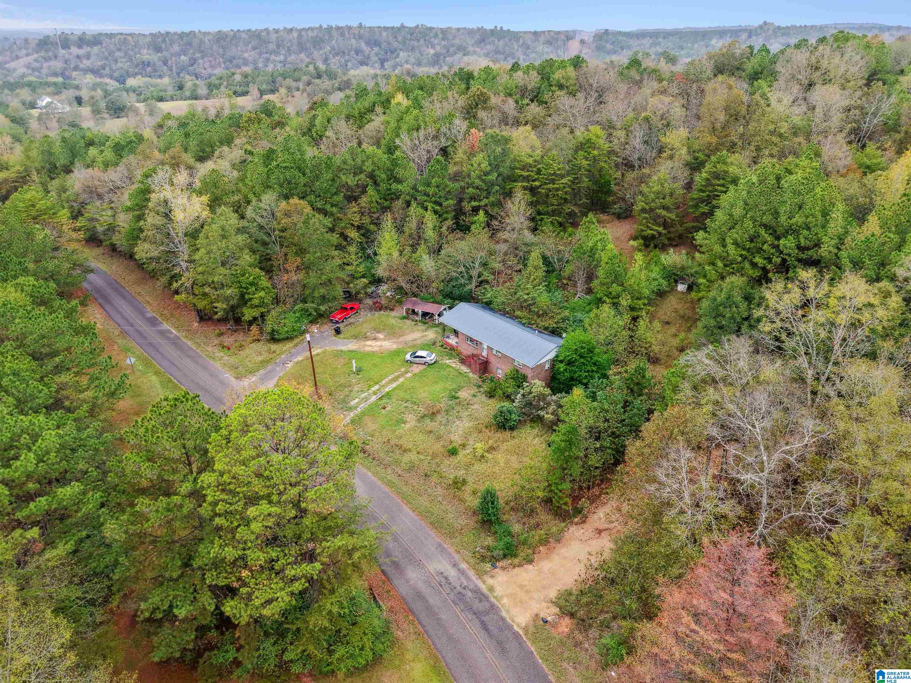 1215 BUDDY VINES CAMP ROAD 0