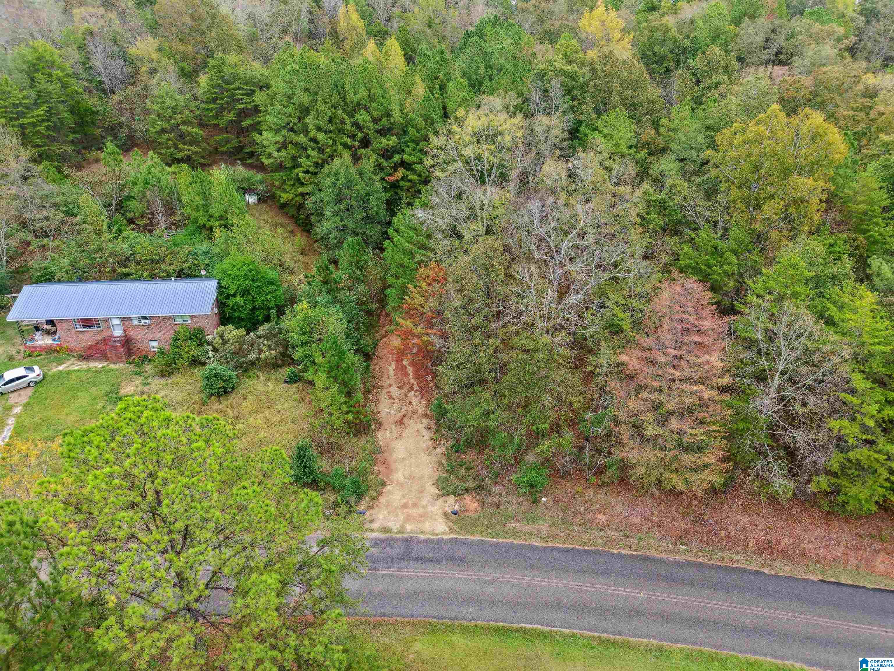 1215 BUDDY VINES CAMP ROAD 0