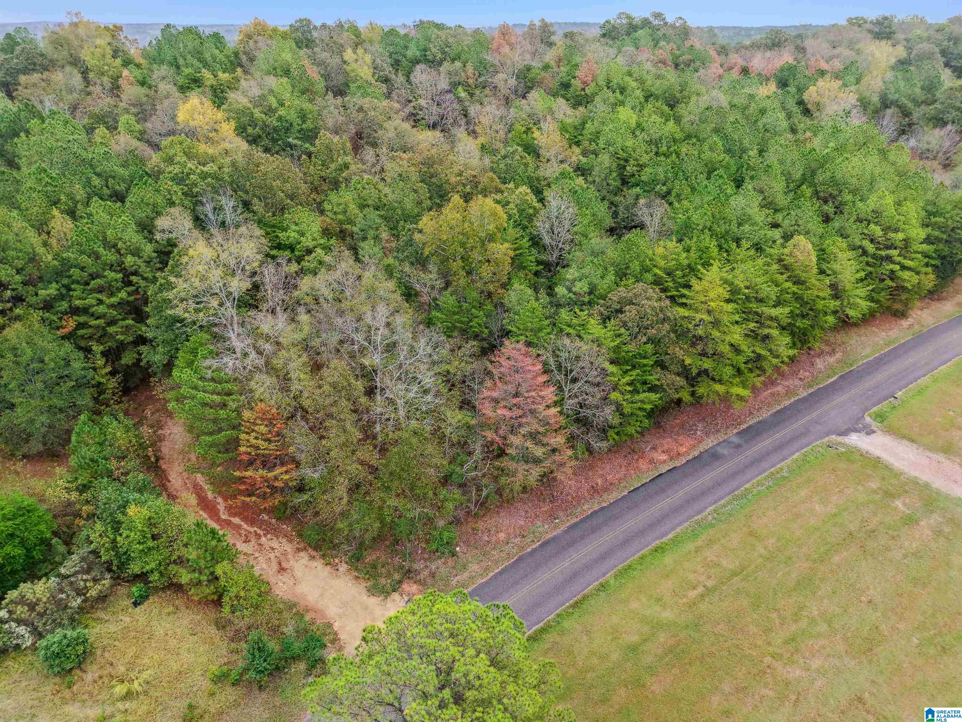 1215 BUDDY VINES CAMP ROAD 0