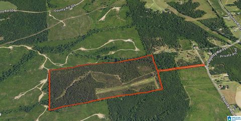 0 COUNTY ROAD 343 0 MAPLESVILLE AL 36750