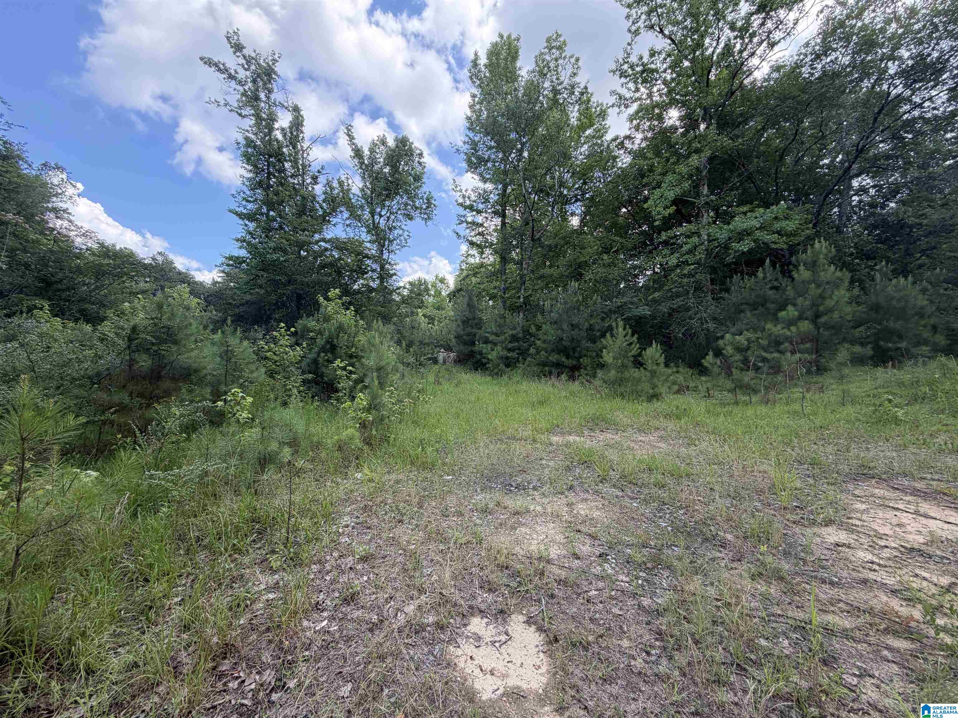 Photo 1 of 6 — 350 OSCAR BRADFORD ROAD 1, WARRIOR, AL 35180