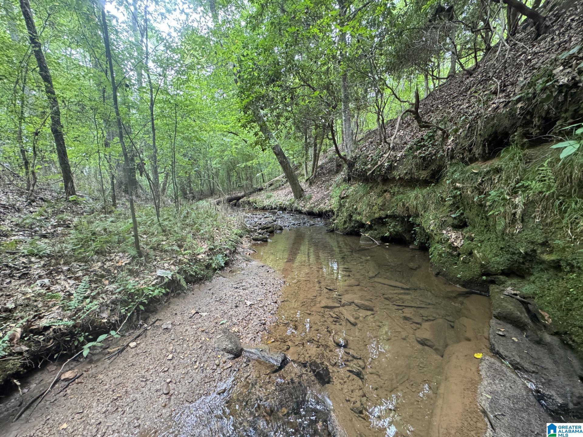 COUNTY ROAD 639 33 Ac