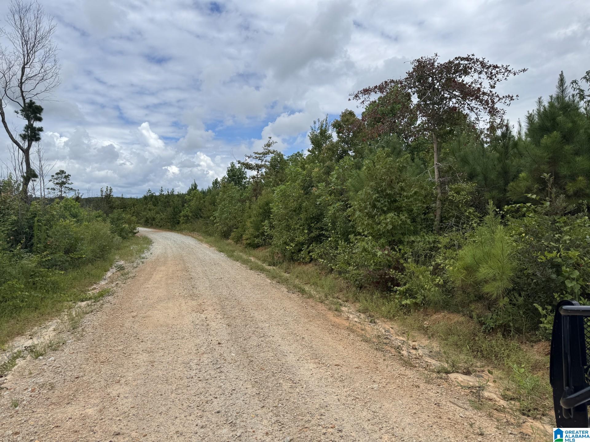 COUNTY ROAD 639 33 Ac