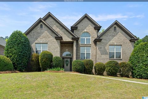 Photo of 173 River Birch Road, CHELSEA, AL 35043 (MLS # 21447755)