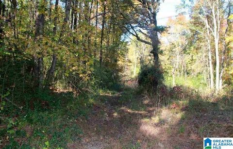 5840 SERVICE ROAD TRUSSVILLE AL 35235