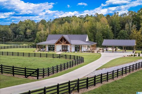 470 GILHAM ROAD ROANOKE AL 36274