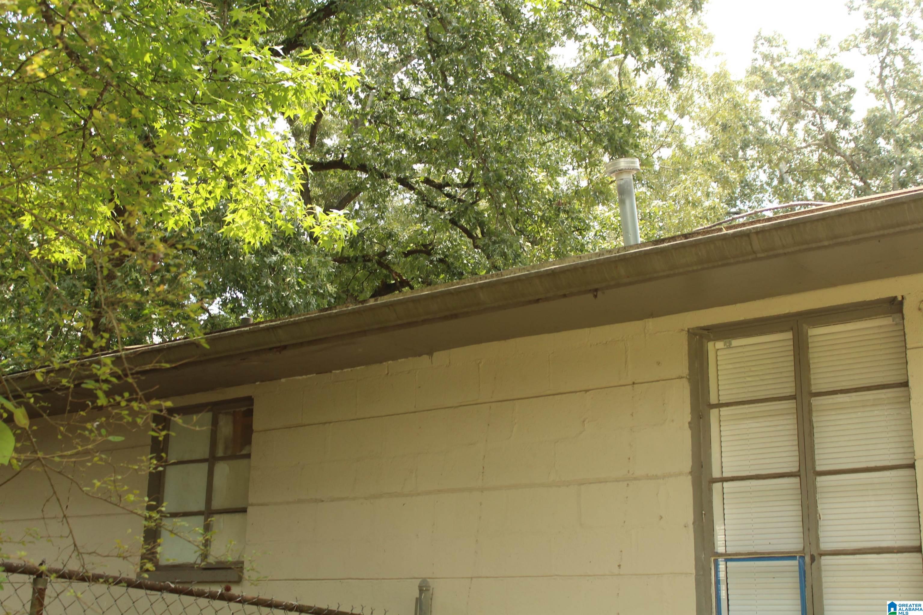 1117 BIRCHWOOD STREET