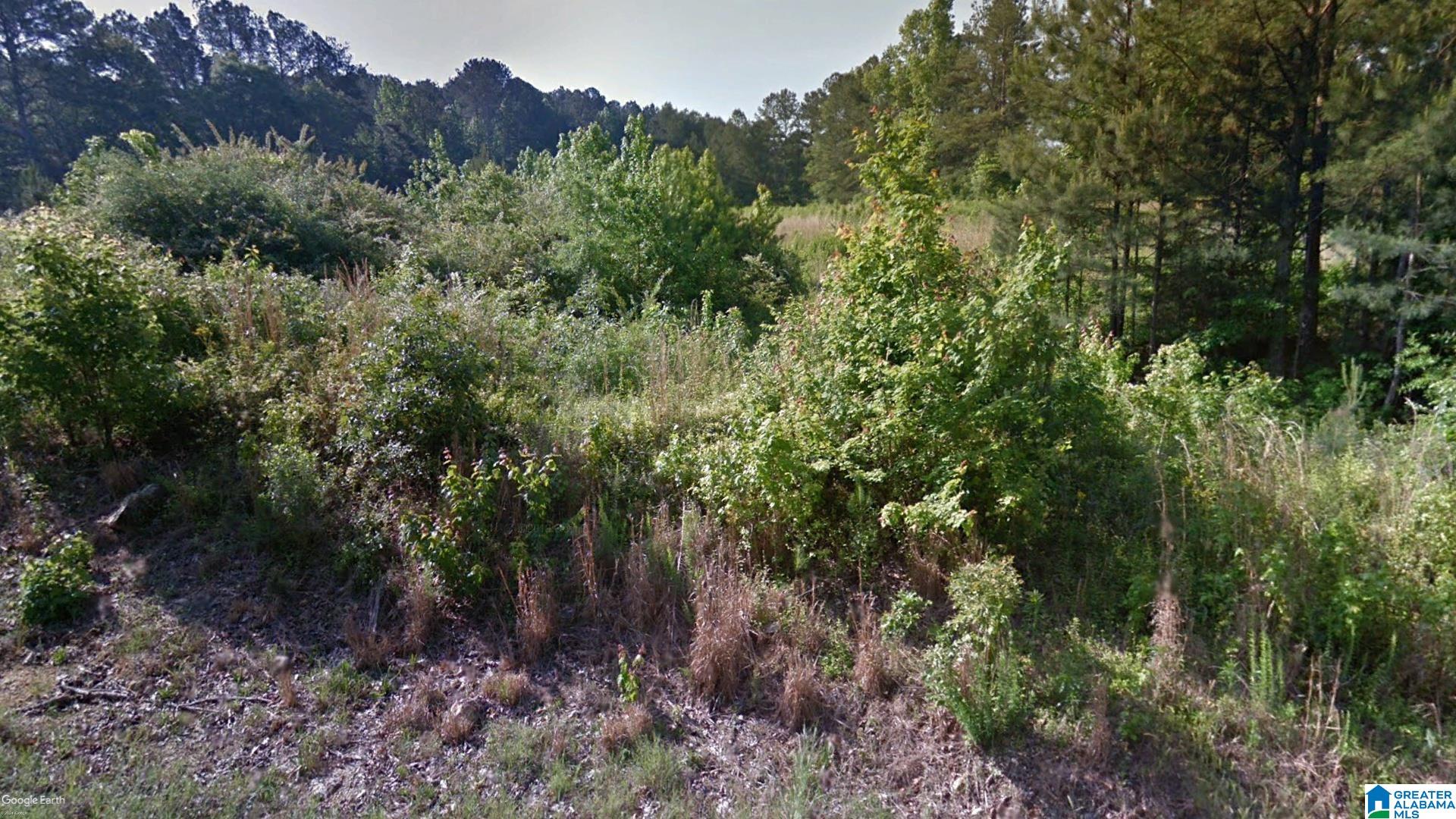 000 SCHOOL CUTOFF ROAD 0