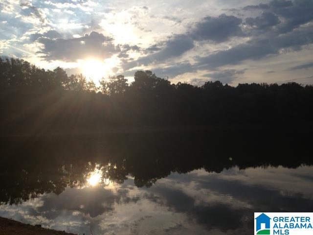 119 WATER ELM DRIVE