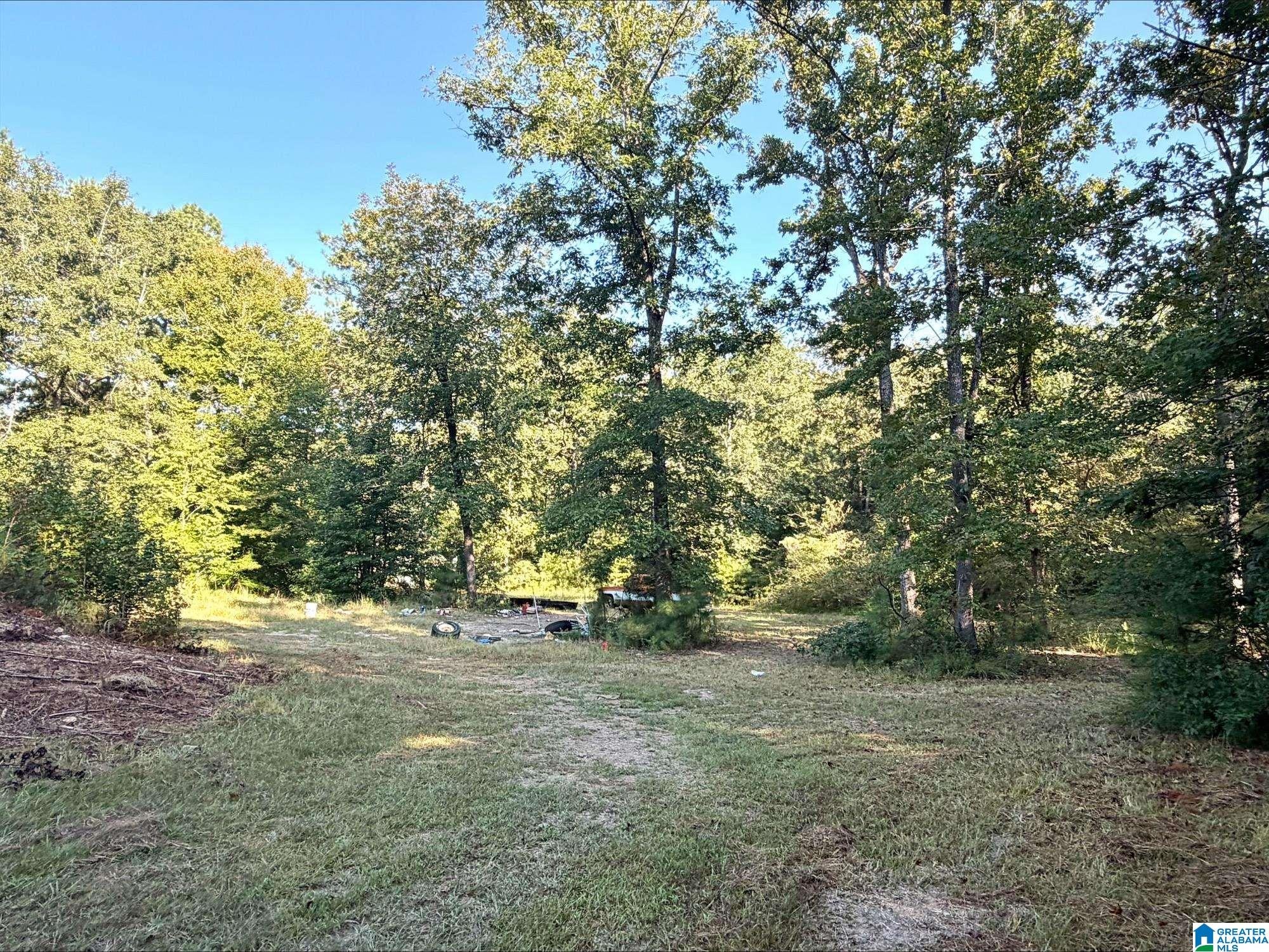423 HODGENS ROAD 1
