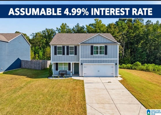 461 SADDLEWOOD CV, COLUMBIANA, AL 35051 - Image 4e5a72bf58c04ce5508ed2dbcf7e978b/1977337008