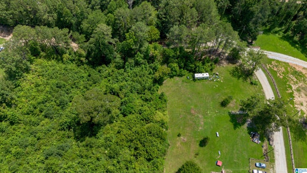 COUNTY RD 447, HEFLIN, AL 36264 - Image 4e5b9a02f9eda7aef9560790e3cc5ff6/2658909752