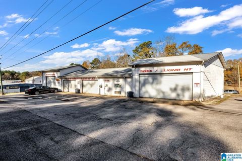 3315 COGSWELL AVENUE PELL CITY AL 35125