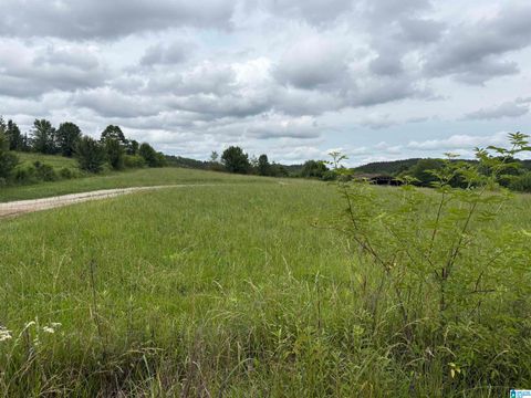 0 COUNTY HIGHWAY 13 0 CLEVELAND AL 35049