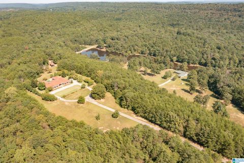 8410 BEAU RIDGE LANE MCCALLA AL 35111