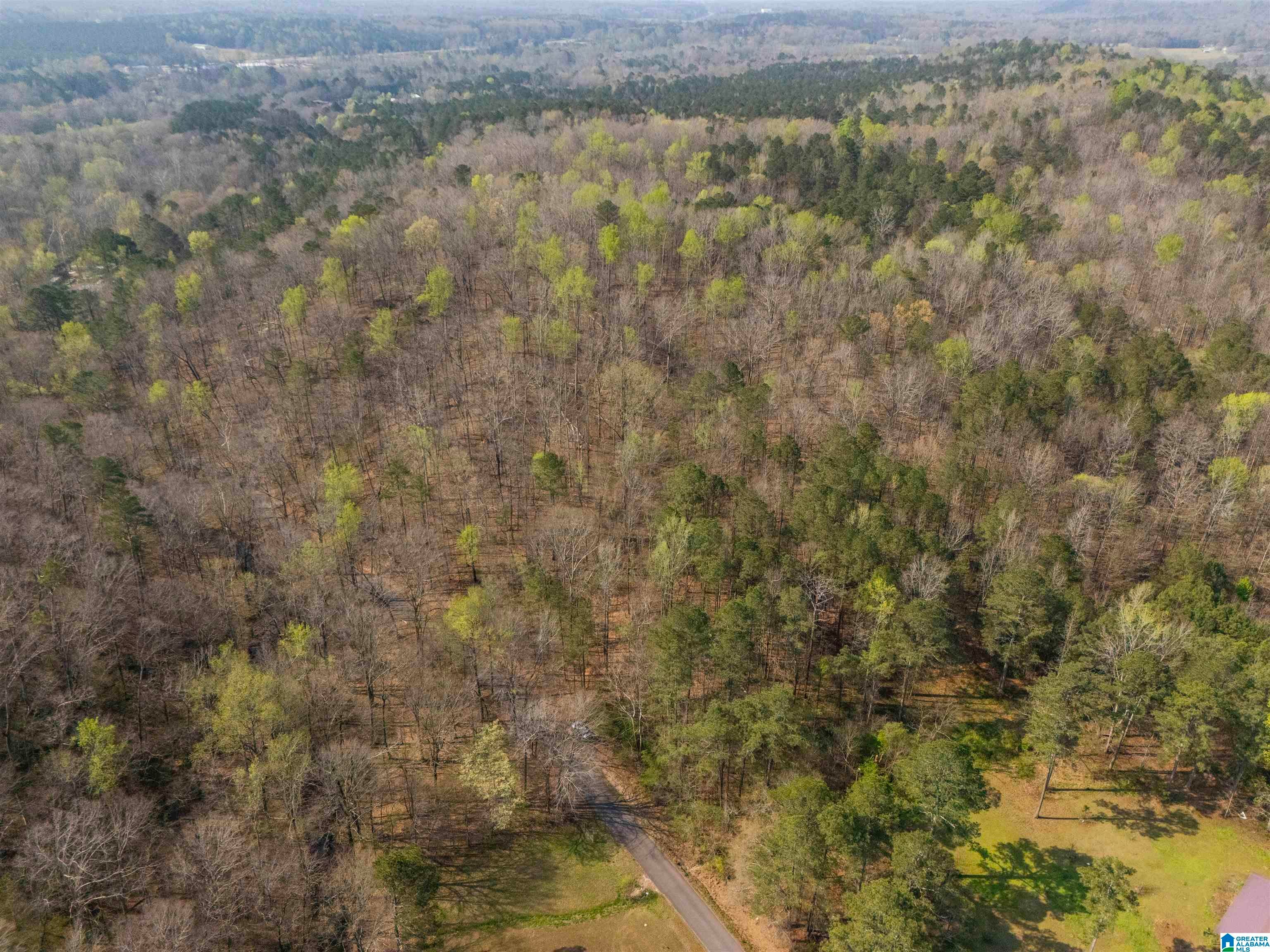 12 Acres ALLISON LANE 0