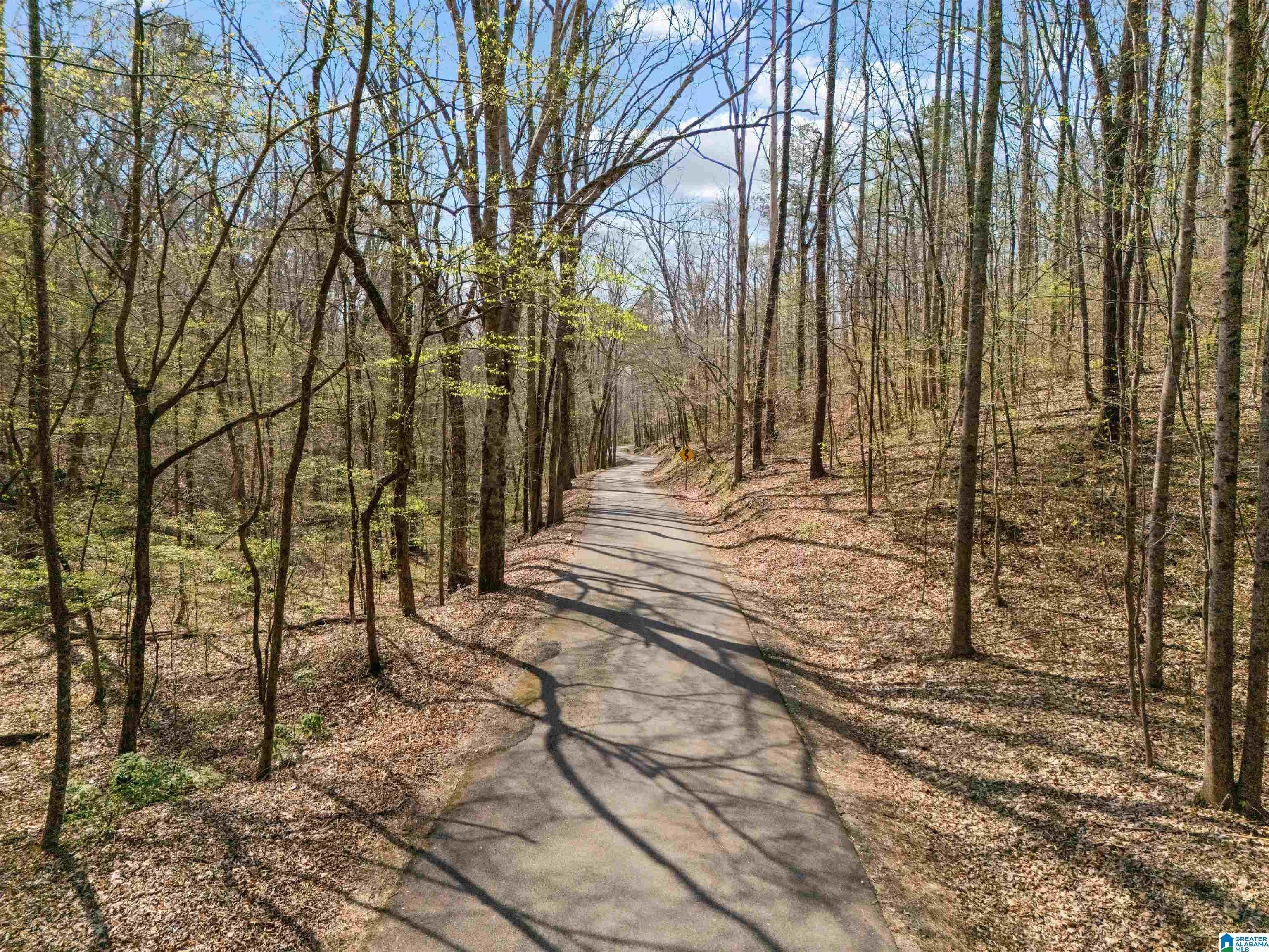 12 Acres ALLISON LANE 0